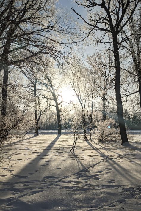 Winter in Winnipeg, MB, Canada Landscape Wallpaper, Open Space, Country Roads, Lake, Quick Saves, Nature