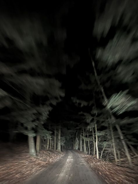 Scary Woods Aesthetic, Horror Asthetic Picture, Alex Kralie Aesthetic, Folk Horror Aesthetic, Found Footage Aesthetic, Cryptids Aesthetic, Paranormal Photography, Slenderverse Aesthetic, Monsters Aesthetic