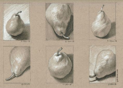 6 Days of Pear Sketches graphite and white charcoal on Strathmore toned tan sketch paper Charcoal Toned Paper, Tanned Paper Drawing, Art On Toned Paper, Charcoal On Brown Paper, Charcoal On Toned Paper, Toned Paper Drawing Ideas, Strathmore Toned Tan, Gray Toned Paper Drawing, Tan Toned Paper Art