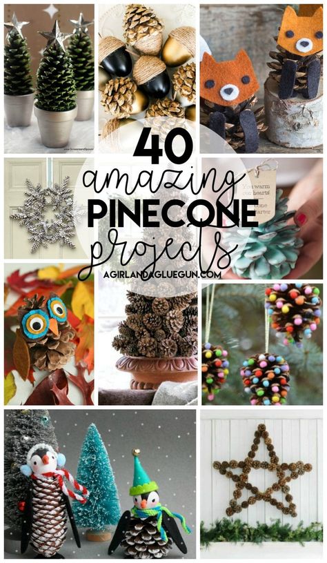 40-amazing-pinecone-projects-from-a-girl-and-a-glue-gun Gather up these free resources can create something amazing! Perfect fall activity Pinecones Crafts, Pinecone Projects, Pine Cone Ideas, Pine Cone Craft, Cone Ideas, Pinecone Art, Pinecone Crafts Kids, Pinecone Crafts Christmas, Christmas Trees For Kids