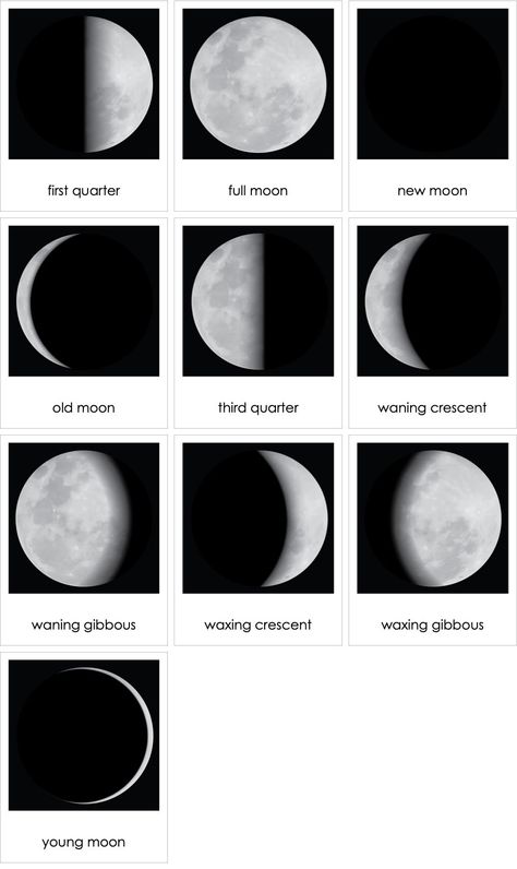 Moon Phases Northern Hemisphere | AMI Digital Moon Phases Pictures, Full Moon Names, Moon Names, Letter Paper, Moon Phases, Full Moon, Astronomy, Paper Size, Digital Illustration