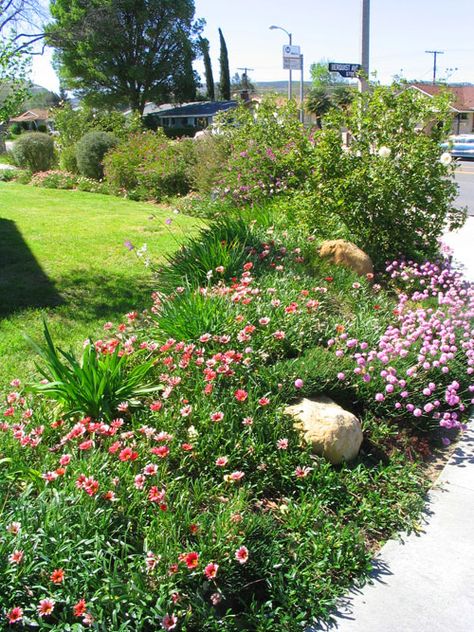 Landscape Corner Of Yard, Privacy Landscaping Backyard, Corner Landscaping, The Uninvited, Landscaping Backyard, Privacy Landscaping, Front Yard Design, Front Yard Garden Design, Easy Landscaping