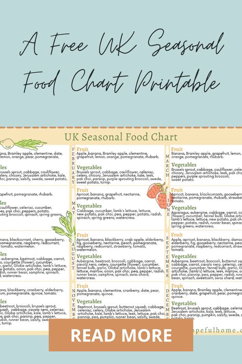 Seasonal Food Chart, Bramley Apple, Food Chart, Seasonal Cooking, Whats In Season, Fruit Salads, Eat Seasonal, Food Charts, Apple Pear