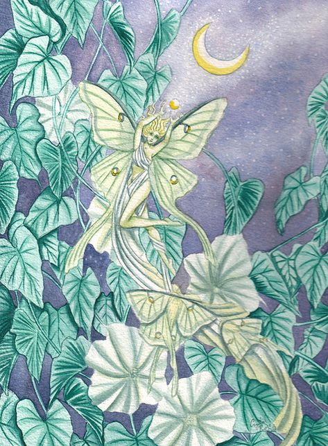 Luna Moth Fairy Art, Lunar Moth Fairy, Moth Fairy Art, Moth Faerie, Doodle Themes, Fae Fantasy Art, Luna Moth Fairy, Fairytale Images, Fairy Reference