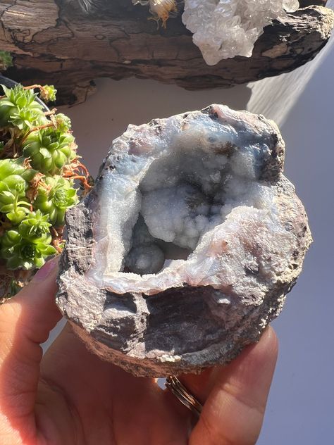 Rock Plants, Pretty Rocks, Quartz Geode, Druzy Quartz, Agate Geode, Birthday Wishlist, Druzy Agate, Shiny Things, Crystals Minerals