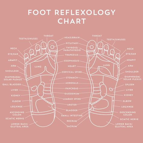 Reflexology is a type of massage that involves applying different amounts of pressure to the feet 👣 It’s based on a theory that these body parts are connected to certain organs and body systems 🫀 Reflexologists believe that applying pressure to these parts offers a range of health benefits ☺️ Body Reflexology, Reflexology Foot Chart, Foot Reflexology Massage, Essential Oils For Pregnancy, Body Wisdom, Reflexology Chart, Reflexology Massage, Foot Reflexology, Healing Touch