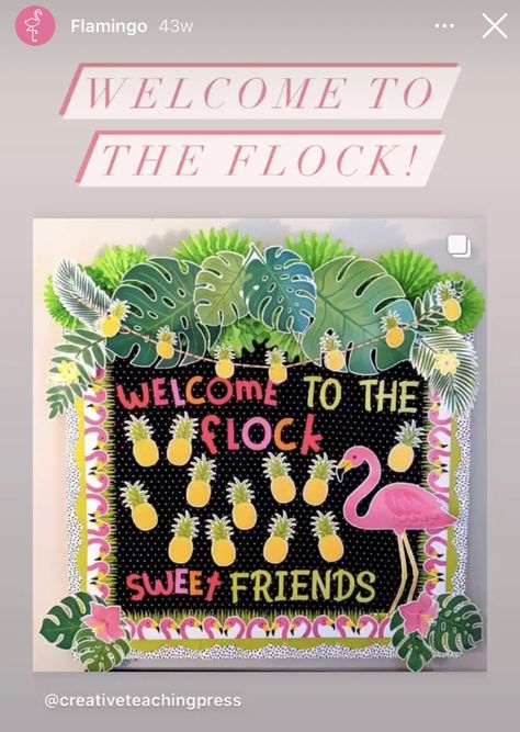 Tropical School Theme, Tropical Classroom Decorating Ideas, Luau Themed Classroom, Tropical Classroom Theme Bulletin Boards, Tropical Theme Bulletin Board, Hawaiian Classroom Decorations, Tropical Theme Classroom Decor, Flamingo Classroom Decor, Tropical Classroom Theme Ideas