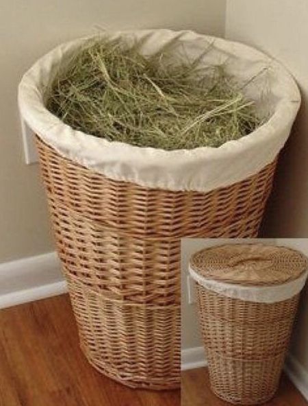 Guinea Pig Diy, Rabbit Enclosure, Pet Rabbit Care, Hay Storage, Bunny Hutch, Bunny Room, Pet Bunny Rabbits, Indoor Rabbit, Dog Couch