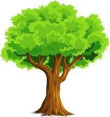 Tree Cartoon Images, Tree Drawing Simple, Cartoon Tree, Cartoon Trees, Picture Tree, Nature Background Images, City Cartoon, Free Clipart Images, Tree Clipart