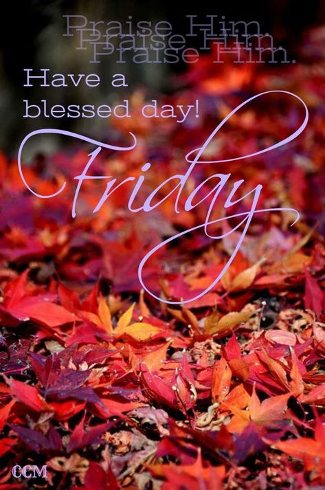 Good Friday Pictures, Friday Morning Greetings, Happy Friday Pictures, Friday Greetings, Friday Morning Quotes, Friday Pictures, Morning Friday, Friday Images, Evening Quotes