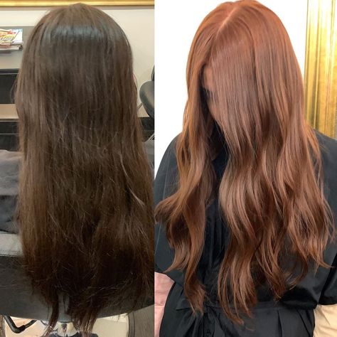 Dark Hair To Ginger Before And After, From Brown To Ginger Hair, Brown Hair To Ginger Before And After, Ginger Hair Types, Hair Color Ginger Brown, Copper Hair On Black Hair, Brown Hair To Ginger, Brown To Red Hair Transformation, Brunette To Ginger Hair