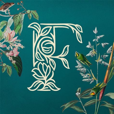 Plainly Simple on Instagram: “F By @tirsotanjr #36daysoftype #36days_f #36daysoftype08” F Lettering, F Typography, Pattern Typography, Tea Logo, Plant Logos, F Logo, Floral Typography, Alphabet Style, Hand Lettering Inspiration