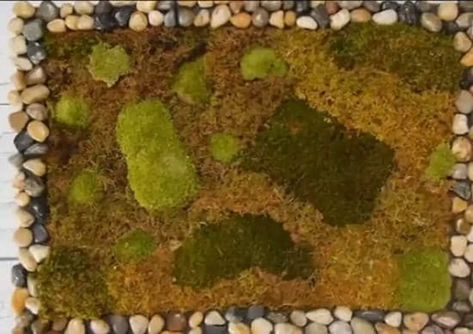 11 Innovative DIY Moss Bath Mat Designs Moss Rug Diy, Shower Mat Ideas, Moss Shower Mats, Moss Bath Mat, Types Of Moss, Diy Moss, Moss Rug, Stone Bath Mat, Faux Moss