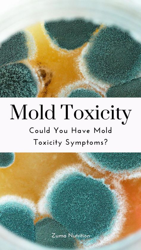 Mold toxicity is a commonly overlooked issue that can have drastic effects on the health of the human body. Learn how to cleanse the body of mold toxins and how to make sure you home is mold free! Toxic Mold Symptoms, Mold Symptoms, Mold Toxicity, Sleep Hygiene, Mold Exposure, Toxic Mold, Lung Infection, Healthy Life Hacks, Skin Care Wrinkles