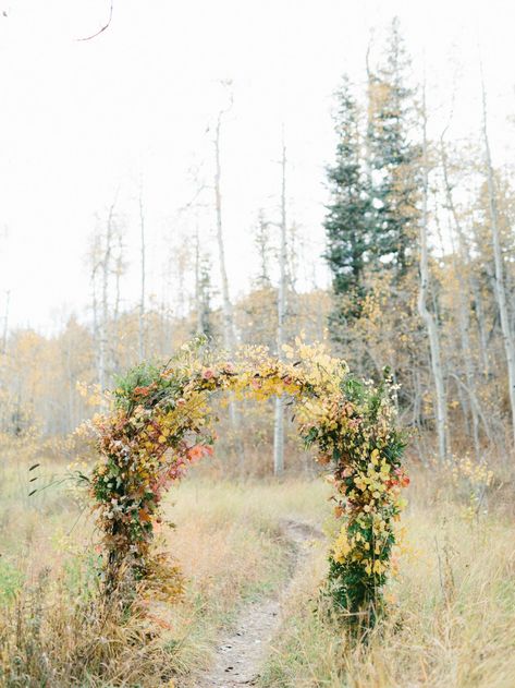 Fall Wedding Ceremony Decor, Fall Wedding Arch, Wedding Ceremony Decor Ideas, Ceremony Decor Ideas, Fall Wedding Ceremony Decorations, Fall Wedding Ceremony, Wedding Arbors, Wedding Ceremony Decor, Ceremony Design