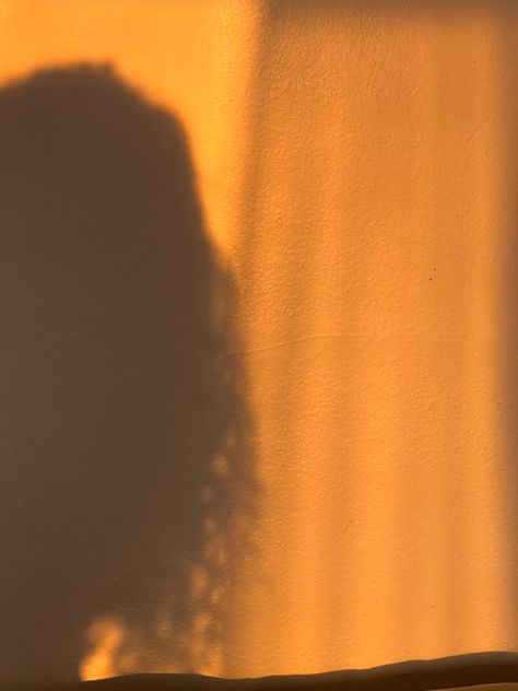 Aesthetic sunset Shadow Pic, Aesthetic Sunset, Curly Hair, Curly Hair Styles, Collage, Hair, Quick Saves