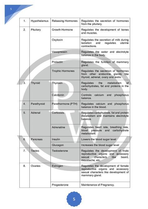 Chemical Control And Coordination Notes, Class 11 Biology Notes Neural Control And Coordination, Control And Coordination Class 10 Notes, 12th Biology Notes, Control And Coordination Notes, Biochemistry Notes, Neet Notes, Learn Biology, Chemistry Basics