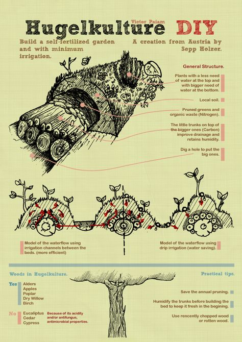 Drawing a Sustainable Life (Infographics) by Víctor Paiam , via Behance Plan Potager Permaculture, Compost Worms, Mandala Garden, Permaculture Gardening, Permaculture Design, Food Forest, Forest Garden, Earthship, Community Gardening