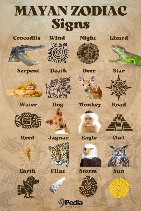 Aztec Zodiac Signs, Mayan Animals, Maya Tattoo Mayan Symbols, Mayan Zodiac Signs, Astrology Animals, Mayan Dragon, Aztec Glyphs, Mayan Jaguar, Mayan Zodiac