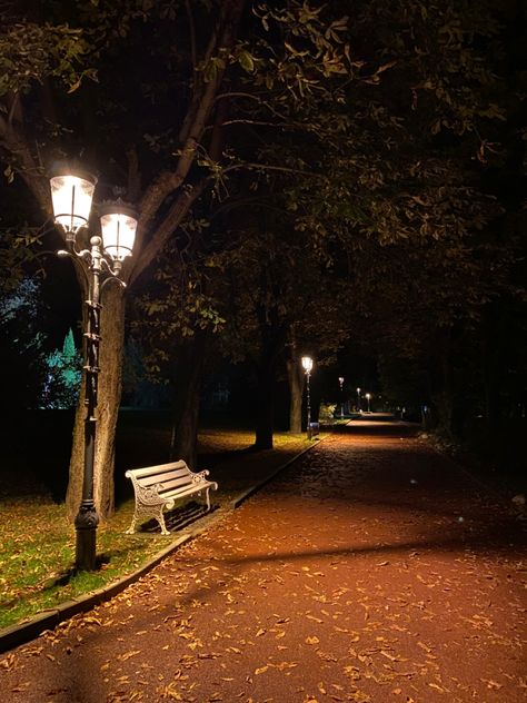 Streetlamp Aesthetic, Street Lamp Photography, Park At Night Aesthetic, Park Aesthetic Night, Street Lamp Aesthetic, Streetlights At Night, Night Time Photography, Night Scenery, Night Landscape