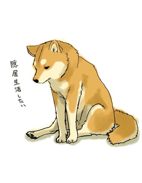 Dog Sketch Cartoon, Akita Drawing, Shiba Illustration, Shiba Inu Drawing, Hachiko Dog, Dog Therapy, Dog Design Art, Pixel Art Tutorial, Dog Sketch