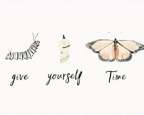 A Butterfly, Pretty Words, The Words, Beautiful Words, Caterpillar, Inspirational Words, Cool Words, Wise Words, Favorite Quotes