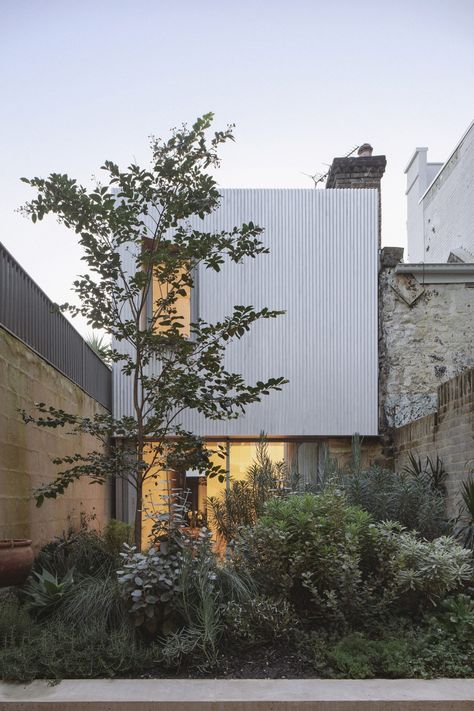 Plant-filled courtyard links steel and stone houses by Retallack Thompson Terrace House Design, Modern Outdoor Spaces, Folding Glass Doors, Aluminium Cladding, Double Glass Doors, Architecture Inspiration, Green Door, Steel House, Terraced House