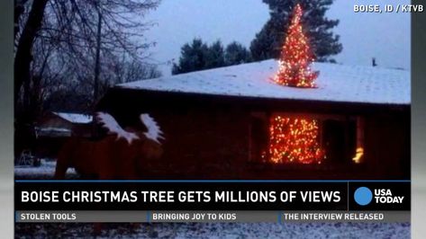 Christmas tree 'busting' through roof is a hit Christmas Neighbor, Creative Christmas Trees, Holiday Humor, The Roof, Bones Funny, Christmas Humor, A House, Christmas Fun, Christmas Lights