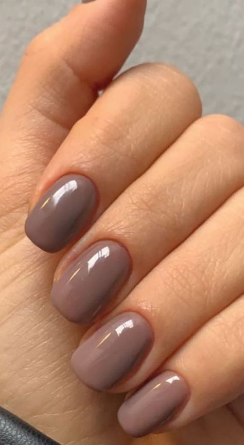 Autumn Nail Colours 2023 Fall, Fall Nails On Pale Skin, Hazelnut Nail Color, Short Shellac Nails Fall, Nude Brown Nails Short, Short Light Brown Nails, Short Natural Fall Nails, Short Fall Nails 2023 Simple, Gel Mani Short Nails Fall