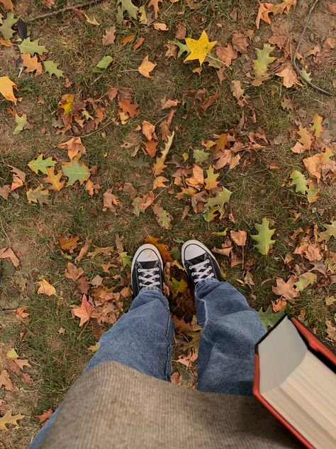 Leaves Photography, Fall Starts, Nature Leaves, Fall Reading, Aesthetic Autumn, Over The Garden Wall, Lily Evans, Photography Aesthetic, Aesthetic Boy