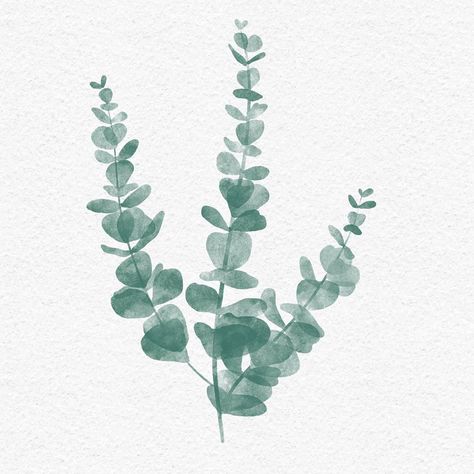 Alex’s Drawing Room on Instagram: “🇫🇷Eucalyptus du jour, bonjour! 🌿 🇬🇧Hello there little eucalyptus! 🌿 Made on #procreate using @everytuesday watercolour brush! Teela thank…” Watercolour Eucalyptus, Plant Sleeve, Journal Drawings, Lips Gloss, S Drawing, Ipad Drawing, Candle Logo, Paintings Ideas, Ipad Drawings