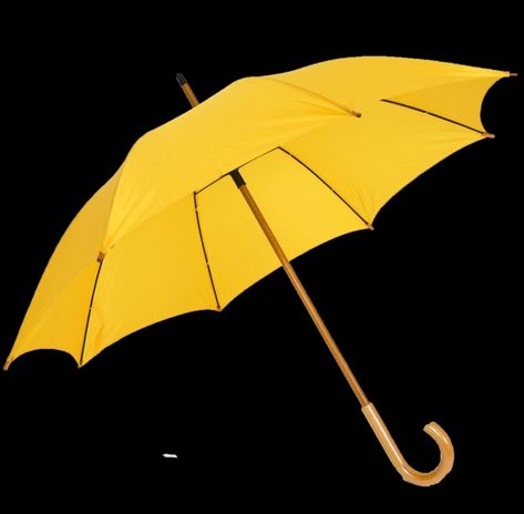 Umbrella Png, Editing Picsart, Rain Photo, Edit Your Photos, Hd Backgrounds, Your Photo, Png Image, Your Image, Lightroom