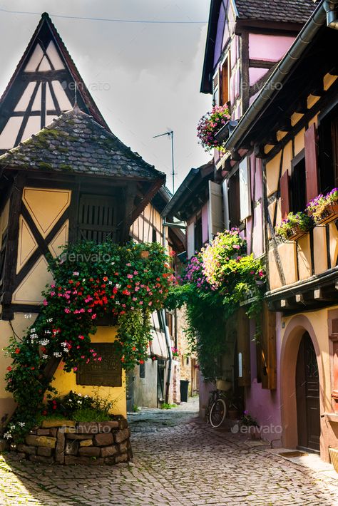 Traditional French Architecture, Magnolia Promenade, Houses Traditional, French Houses, Alsace France, French Architecture, Colmar, French House, Vacation Places