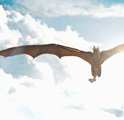 Dragon Gif, Dragon Anatomy, Queen Of Dragons, Breathing Fire, Dragon House, Game Of Thrones Dragons, Got Dragons, Mythical Dragons, Beast Creature