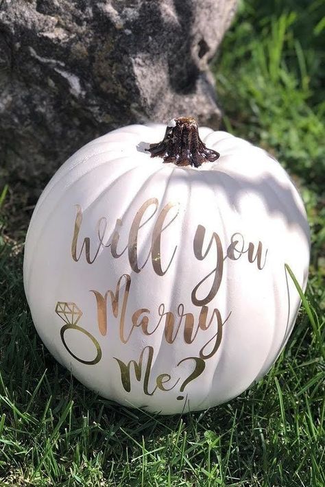 Fall Proposal Ideas, Floor Tables, Fall Proposal, Cute Proposal Ideas, Engagement Goals, Proposal Videos, Creative Proposals, Proposal Pictures, Loving Relationships