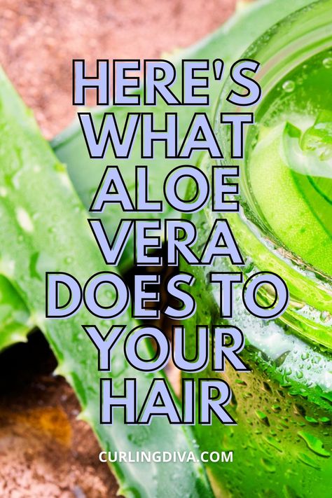 When you think of Aloe Vera, you'll probably think that it's only good for burns. But did you know that it's also good for your hair? Traditionally been used by women in Asia, particularly the Philippines, Aloe Vera gel helps you grow long, thick, healthy and shiny hair. Check out these 3 reasons why aloe vera is good for your hair and the 6 different ways to use it. #hairhacks #DIY #naturalhaircare Marks On Neck, Aloe Vera Gel For Hair Growth, Healthy And Shiny Hair, Aloe Vera Uses, Aloe For Hair, Aloe Vera Shampoo, Aloe Vera Hair Mask, Scalp Problems, Aloe Vera Oil