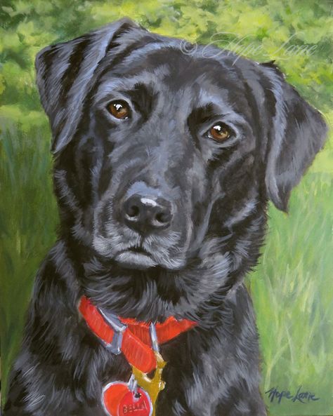 Labrador Retriever Art, Portraits Pop Art, Dog Portraits Art, Labs Art, Paint Your Pet, Black Labrador Retriever, Pet Portrait Painting, Custom Dog Portraits, Black Labrador