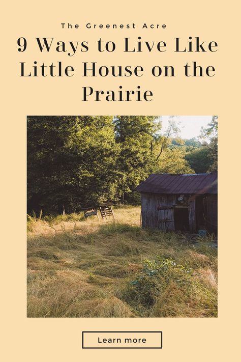 Do you want to slow down and live a simpler life? Learn 9 ways you can become more self-sufficient and live like Laura Ingalls Wilder in "Little House on the Prairie." Laura Lives The Good Life, Little House On The Prairie Aesthetic, Prairie Recipes, Caroline Ingalls, Homestead Land, Godly Home, 10 Stitch Blanket, Prairie Aesthetic, Pioneer Living