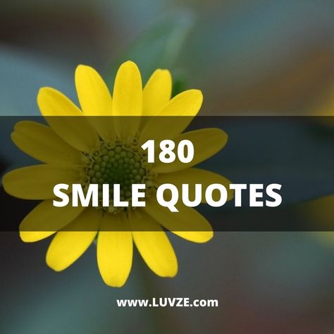 Check out our huge selection of smile quotes. These quotes will brighten anyone's day and make them happy. Give them a reason to smile! Happy Good Morning Quotes Smile, Happy Day Quotes Smile, Reason To Smile Quotes, Quotes About Smiles, Reasons To Smile Quotes, Smiley Face Quote, Smile Quotes Inspirational, Smile Quotes Happy, Make You Smile Quotes