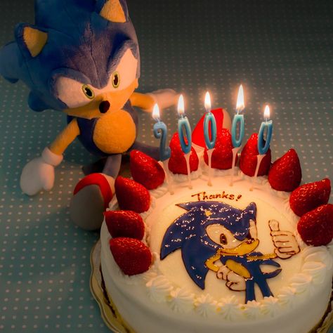 Sonic Plushies, Sonic Cake, Hedgehog Cake, Sonic Sonic, Shadow Sonic, Birthday Icon, Sonic Birthday, Sonic Funny, Sonic 3