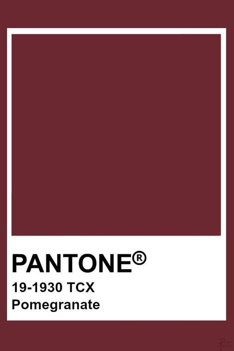 Pantone Pomegranate, Red Pantone Colour Palettes, Pomegranate Color Palette, Dark Red Pantone, Pantone Burgundy, Burgundy Pantone, Red Pantone, Marsala Pantone, Pomegranate Color