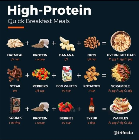 Exercise Essentials, High Protein Breakfast Ideas, Protein Breakfast Ideas, Healthy Weight Gain Foods, Food To Gain Muscle, Protein Meal Plan, High Protein Breakfast Recipes, Weight Gain Meals, High Protein Meal Prep