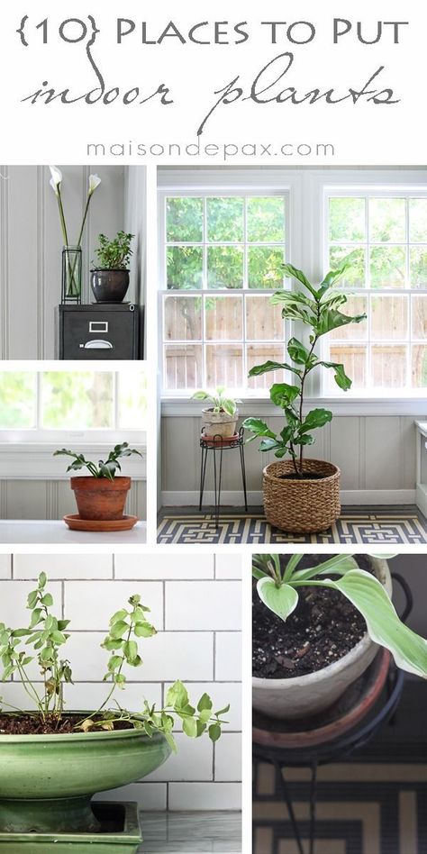 click for 10 ideas of places to put indoor plants! via maisondepax.com #decor #design Plants In The House, 60s Room, Plant Placement, Interior Entrance, Inside Plants, Shabby Chic Interiors, Interior Colour, Diy Outdoor Decor, Indoor Gardens