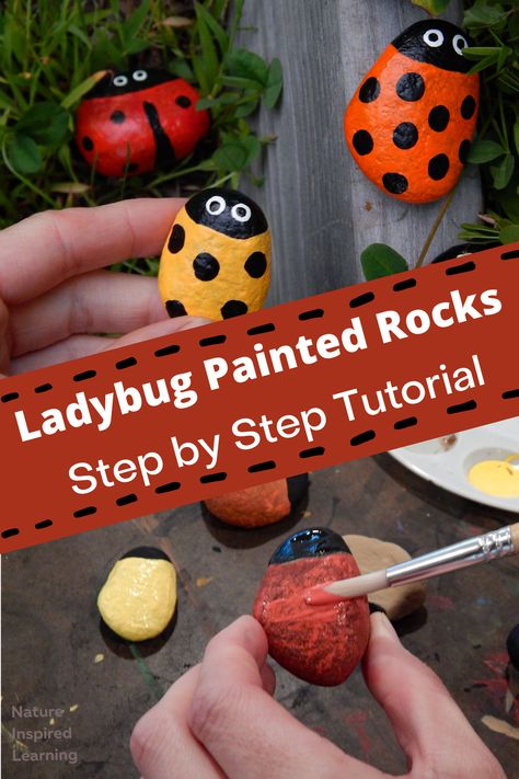 Rocks In The Garden, Ladybug Painted Rocks, Diy Ladybug, Lady Bug Painted Rocks, Painted Ladybug, Rock Steps, Easy Rock Painting, Activity For Adults, Craft For Adults