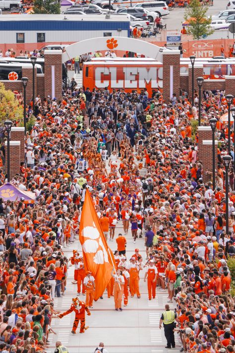 Clemson football arrives for Tiger Walk! Clemson University Aesthetic, Clemson Aesthetic, College Manifestations, Clemson College, College Vision Board, Clemson Football, Clemson University, Dream School, Clemson Tigers