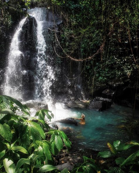 Private Waterfall, Travel Reading, Tree House, Bali, Thailand, Dream House, Water, Travel, Nature