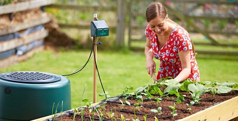 Irrigatia solar watering pump system Aquaponics Kit, Automatic Watering System, Drip Irrigation Kit, Irrigation Controller, Water Irrigation, Water Timer, Watering System, Rain Barrel, Drip Irrigation