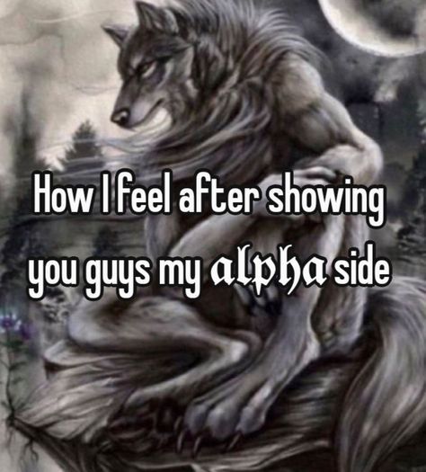 Sigma Wolf, Alpha Male Quotes, Alpha Quote, Wolf Meme, Alpha Werewolf, What Am I Doing, Minion Jokes, Alpha Wolf, Alpha Sigma