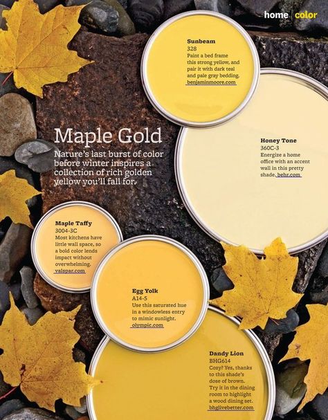 Maple Gold Paint Colors from Better Homes & Gardens. 328: Sunbeam by Benjamin Moore 360C-3: Honey Tone by Behr 3004-3C: Maple Taffy by Valspar A14-5: … Read More Gold Paint Colors, Yellow Paint Colors, Palette Design, Paint Color Schemes, Yellow Paint, Paint Color Palettes, Interior Painting, Interior Paint Colors, Garden Painting