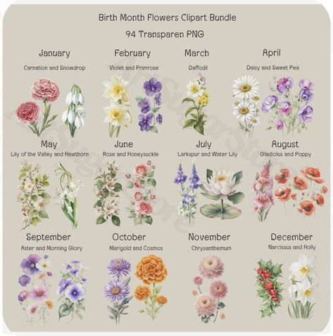 Scorpio Flower Birth Month, Capricorn Flower Birth Month, Birth Month Birds, Flowers For Months Of The Year, Birth Animals By Month, Capricorn Flower, Virgo Flower, Birthmonth Flower, Birth Animal